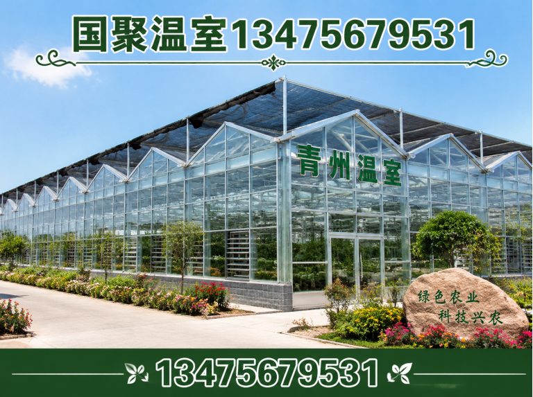 潍坊温室设计施工展示图